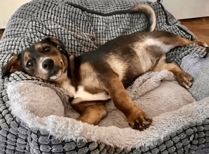 2025 10 15 08 42 16 posteingang sina.rieke kroeger@oetker.com outlook