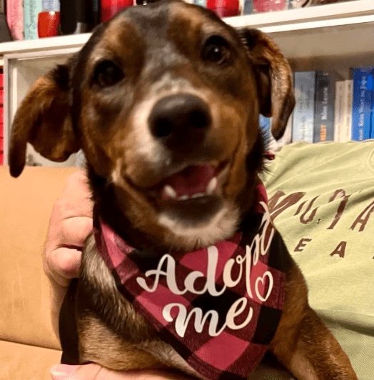 2025 10 15 08 42 23 posteingang sina.rieke kroeger@oetker.com outlook