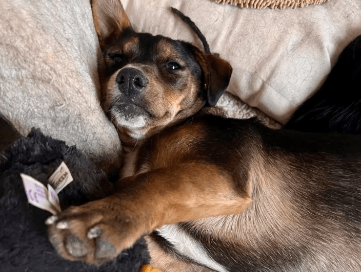 2025 10 15 08 42 32 posteingang sina.rieke kroeger@oetker.com outlook