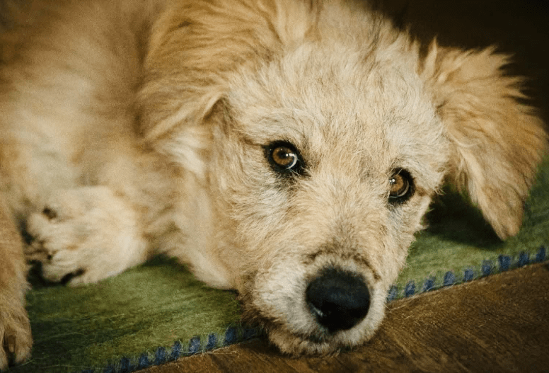 2025 10 15 08 44 47 chat leuders, michael microsoft teams