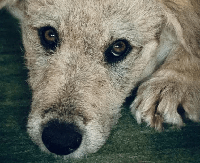 2025 10 15 08 44 56 chat leuders, michael microsoft teams