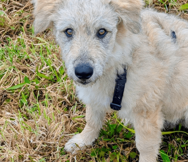 2025 10 15 08 45 01 chat leuders, michael microsoft teams