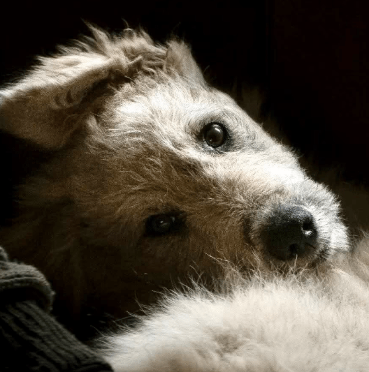 2025 10 15 08 45 11 chat leuders, michael microsoft teams