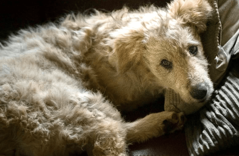 2025 10 15 08 45 21 chat leuders, michael microsoft teams