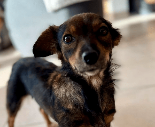 2025 10 19 22 09 14 posteingang sina.rieke kroeger@oetker.com outlook