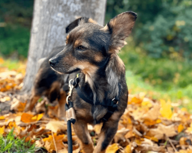 2025 10 19 22 09 25 posteingang sina.rieke kroeger@oetker.com outlook