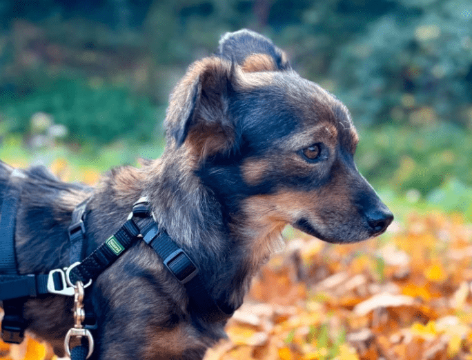 2025 10 19 22 09 31 posteingang sina.rieke kroeger@oetker.com outlook