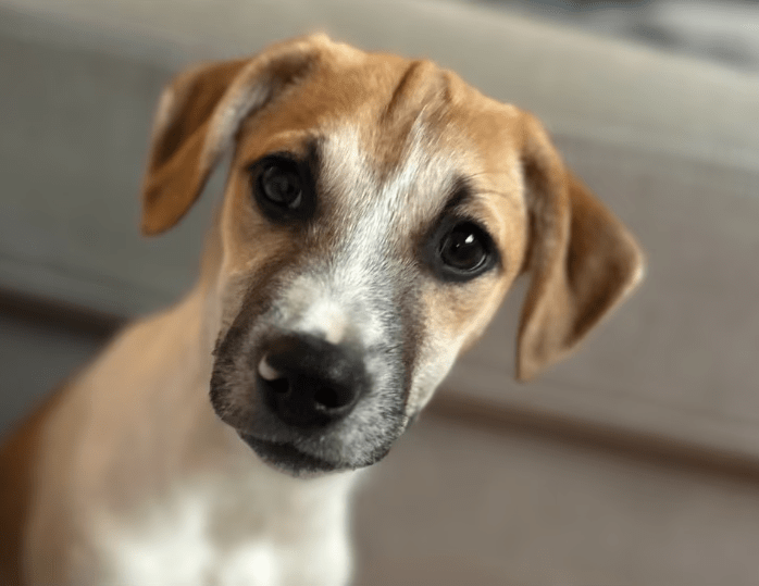 2025 10 23 17 39 51 posteingang sina.rieke kroeger@oetker.com outlook