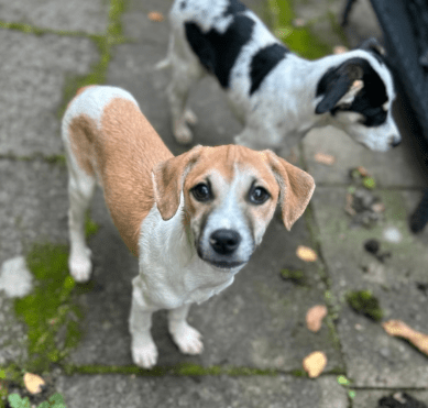 2025 10 23 17 39 58 posteingang sina.rieke kroeger@oetker.com outlook