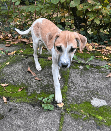 2025 10 23 17 40 03 posteingang sina.rieke kroeger@oetker.com outlook