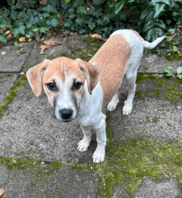 2025 10 23 17 40 08 posteingang sina.rieke kroeger@oetker.com outlook