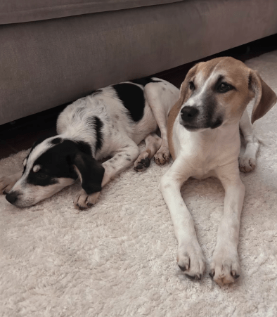 2025 10 23 17 40 14 posteingang sina.rieke kroeger@oetker.com outlook