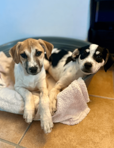 2025 10 23 17 40 32 posteingang sina.rieke kroeger@oetker.com outlook