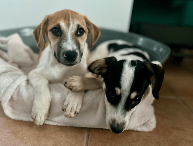 2025 10 23 17 40 41 posteingang sina.rieke kroeger@oetker.com outlook