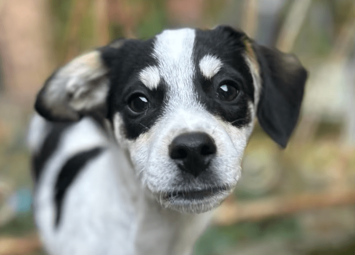 2025 10 23 17 43 25 chat schneider, david microsoft teams