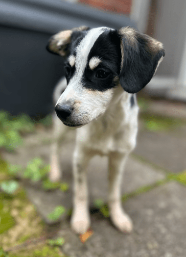 2025 10 23 17 43 34 chat schneider, david microsoft teams