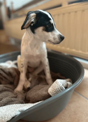 2025 10 23 17 43 52 chat schneider, david microsoft teams