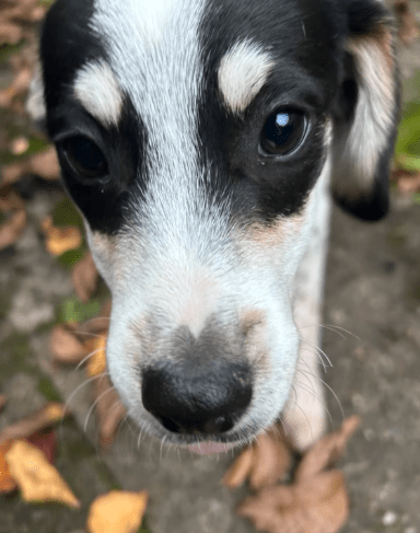 2025 10 23 17 44 00 chat schneider, david microsoft teams