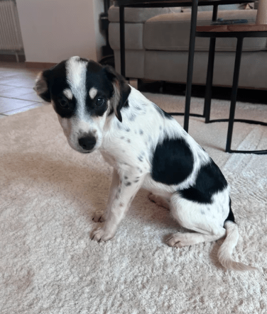 2025 10 23 17 44 09 chat schneider, david microsoft teams