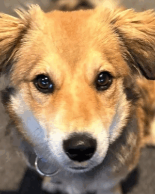 Revee (BV) Revee (BV)