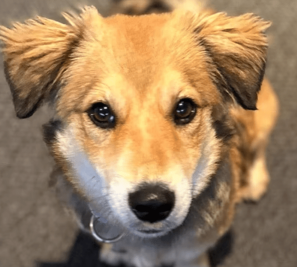 2025 10 23 17 46 30 chat schneider, david microsoft teams