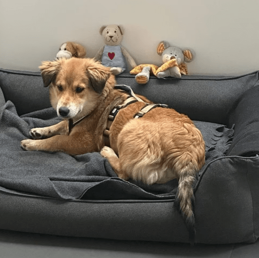 2025 10 23 17 46 36 chat schneider, david microsoft teams