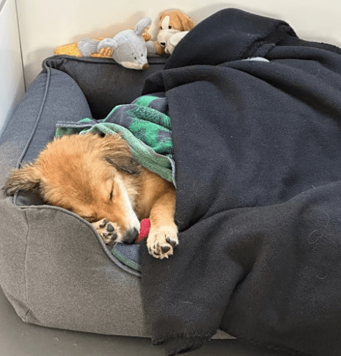 2025 10 23 17 46 42 chat schneider, david microsoft teams