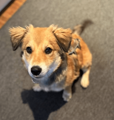 2025 10 23 17 46 47 chat schneider, david microsoft teams