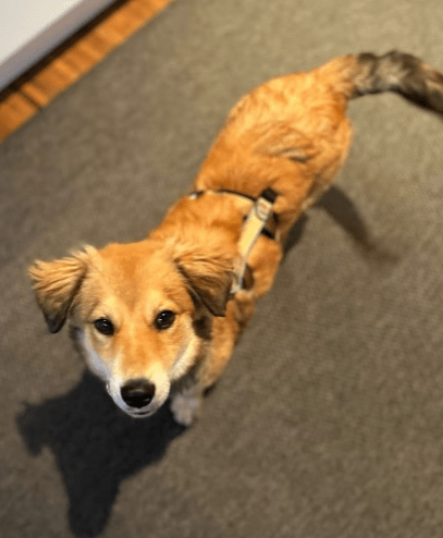 2025 10 23 17 46 52 chat schneider, david microsoft teams