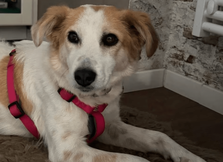 2025 10 23 17 48 35 chat schneider, david microsoft teams