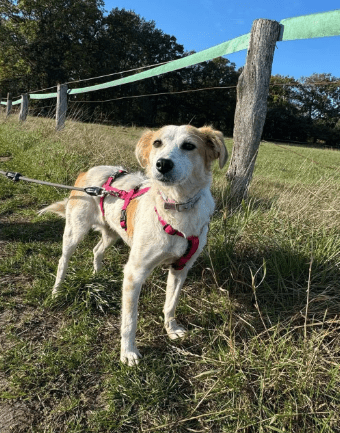 2025 10 23 17 48 49 chat schneider, david microsoft teams