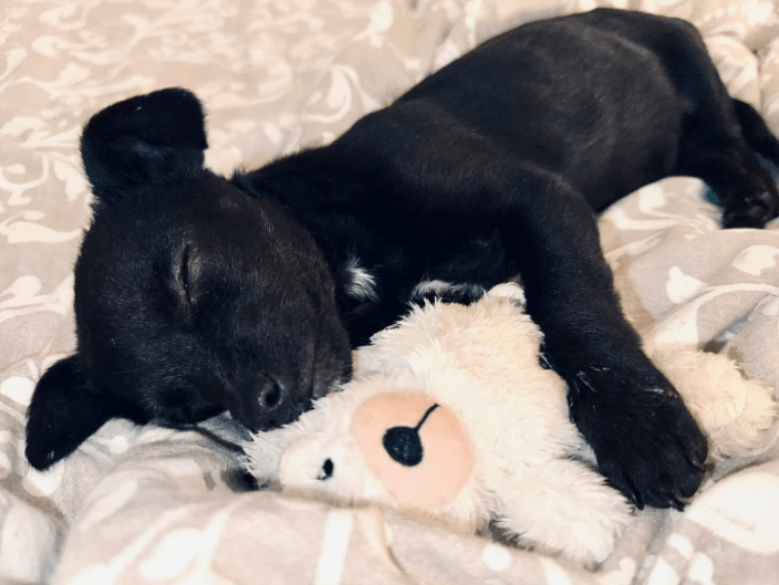 2025 10 23 18 01 39 chat schneider, david microsoft teams