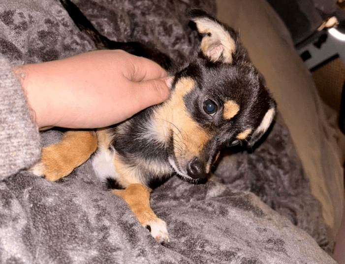 2025 10 23 18 03 56 chat schneider, david microsoft teams