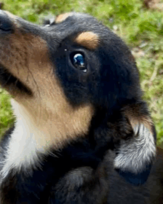 Jerla (BV) Jerla (BV)