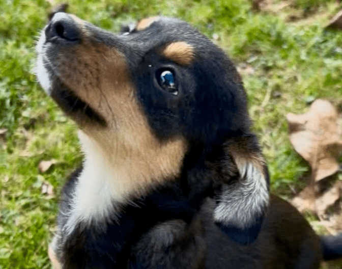 2025 10 23 18 04 18 chat schneider, david microsoft teams