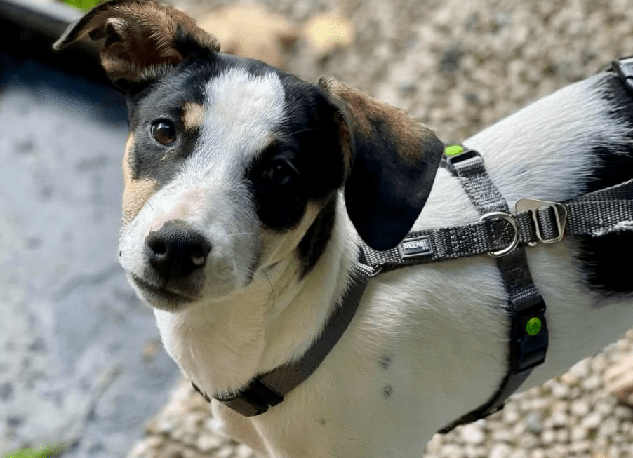 2025 11 04 16 36 57 posteingang sina.rieke kroeger@oetker.com outlook