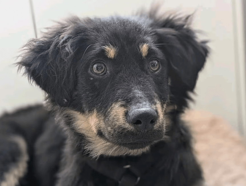 2025 11 04 16 38 33 posteingang sina.rieke kroeger@oetker.com outlook