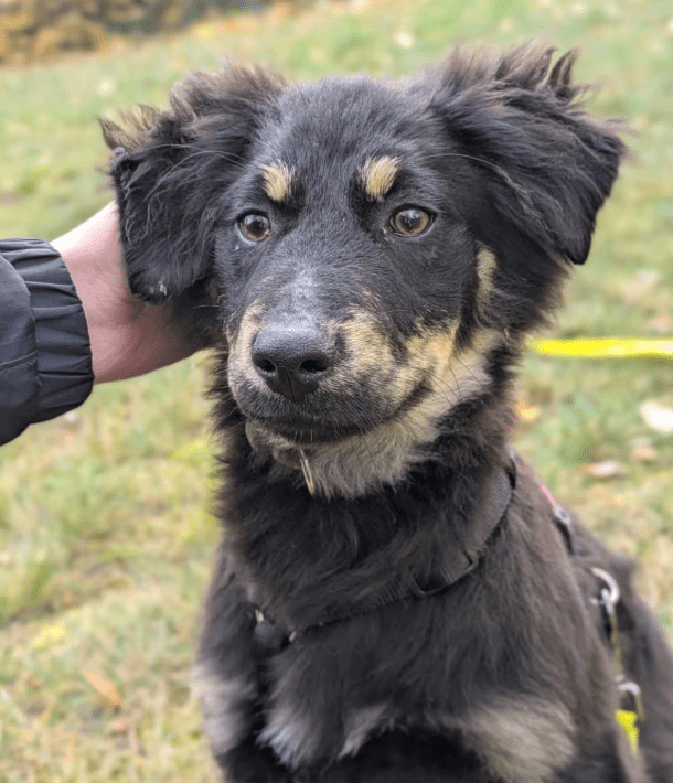 2025 11 04 16 38 37 posteingang sina.rieke kroeger@oetker.com outlook