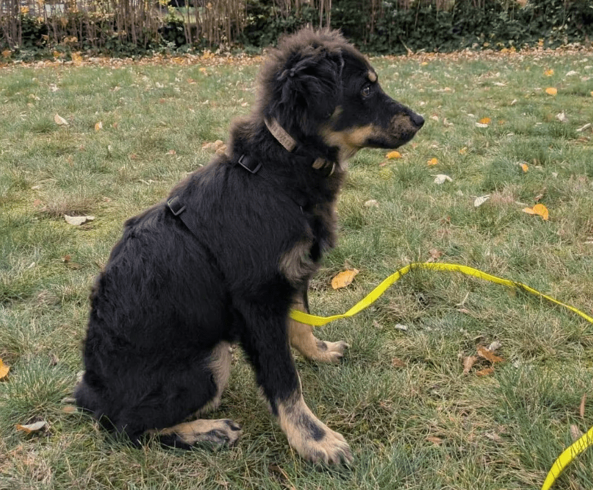 2025 11 04 16 38 41 posteingang sina.rieke kroeger@oetker.com outlook