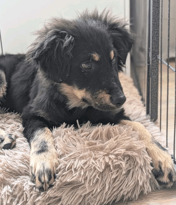 2025 11 04 16 38 46 posteingang sina.rieke kroeger@oetker.com outlook