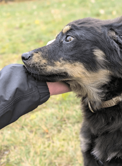 2025 11 04 16 38 51 posteingang sina.rieke kroeger@oetker.com outlook