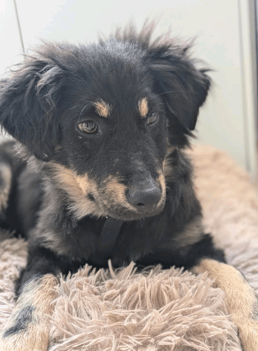 2025 11 04 16 38 55 posteingang sina.rieke kroeger@oetker.com outlook