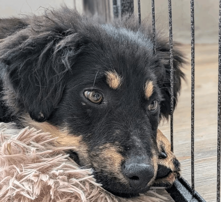 2025 11 04 16 39 03 posteingang sina.rieke kroeger@oetker.com outlook