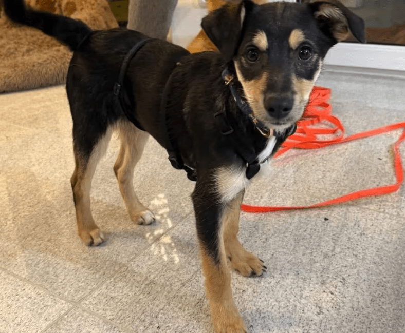 2025 11 04 16 42 42 posteingang sina.rieke kroeger@oetker.com outlook