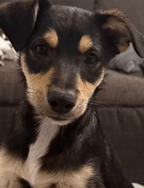 2025 11 04 16 42 46 posteingang sina.rieke kroeger@oetker.com outlook