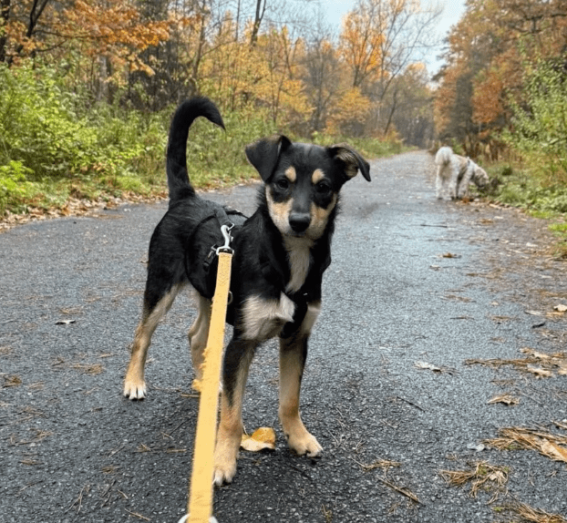 2025 11 04 16 42 50 posteingang sina.rieke kroeger@oetker.com outlook