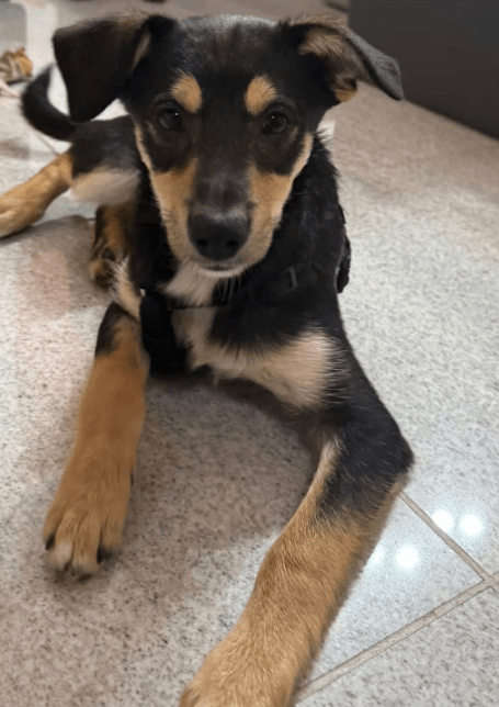 2025 11 04 16 42 58 posteingang sina.rieke kroeger@oetker.com outlook