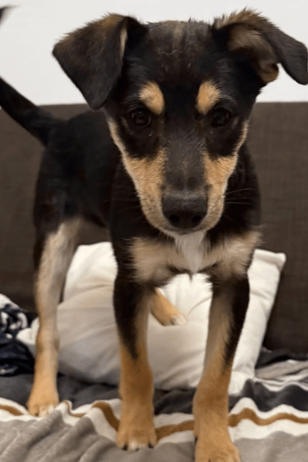 2025 11 04 16 43 01 posteingang sina.rieke kroeger@oetker.com outlook