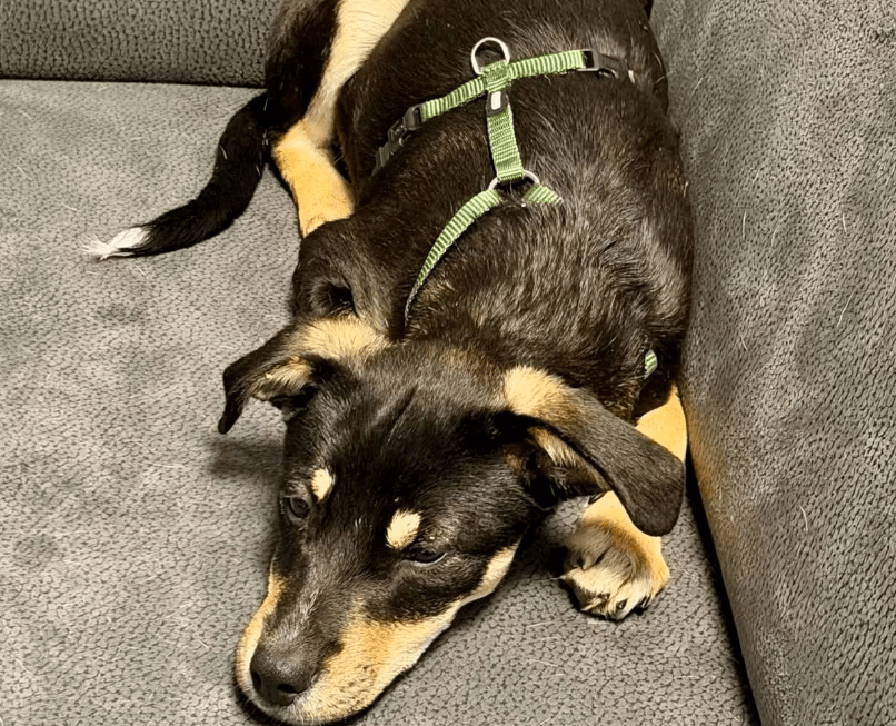 2025 11 06 11 16 57 ppm project initiation document sap btp neu.pptx powerpoint