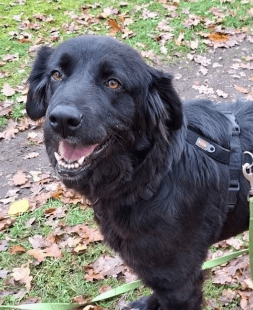 2025 11 21 11 26 15 Posteingang Sina.Rieke Kroeger@oetker.com Outlook